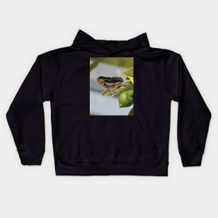 California Sister Butterfly Resting On A Lemon Tree Kids Hoodie